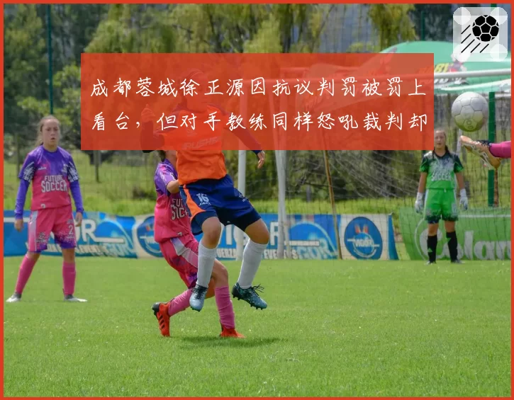 成都蓉城徐正源因抗议判罚被罚上看台，但对手教练同样怒吼裁判却未受任何处罚