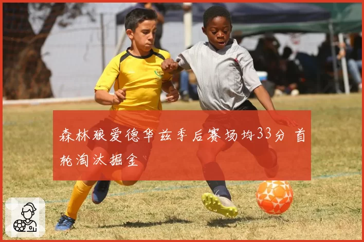 森林狼爱德华兹季后赛场均33分 首轮淘汰掘金
