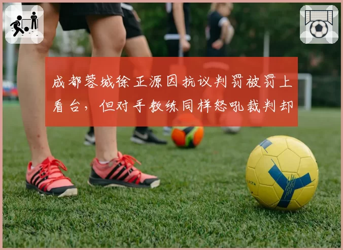 成都蓉城徐正源因抗议判罚被罚上看台，但对手教练同样怒吼裁判却未受任何处罚